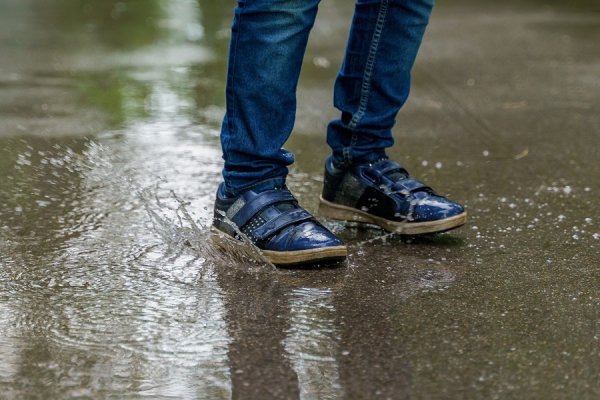 Stylowe i wygodne męskie buty DC Shoes na sezon jesień-zima